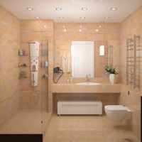 nuostabaus vonios kambario interjero 5 kv.m nuotrauka