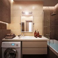 idée d'un beau style d'une salle de bain 3 m² image