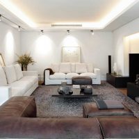 example of an unusual interior of a living room 25 sq. m picture