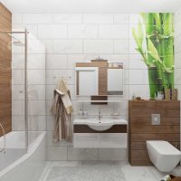 idée de design inhabituel d'une salle de bain photo 6 m²