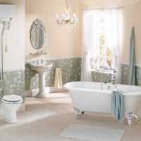 l'idea di un insolito design del bagno in una foto in stile classico