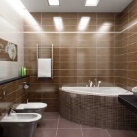 option d'un intérieur lumineux d'une grande photo de salle de bain
