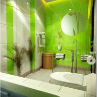caso d'uso verde in un bellissimo appartamento di design