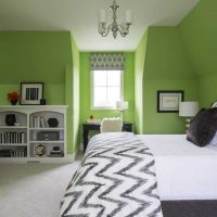 l'idée d'appliquer le vert dans une photo d'appartement lumineux