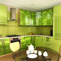 l'idée d'un intérieur de cuisine insolite 14 m² photo