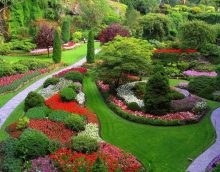 variant of the use of beautiful plants in landscape design giving photo