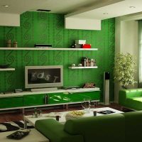 exemple d'utilisation du vert dans une belle photo de conception d'appartement