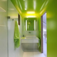 l'idea di applicare il verde in un interno luminoso di un appartamento