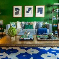 idea di utilizzare il colore verde in un interno insolito di una foto di appartamento