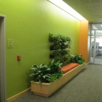 Un esempio di applicazione del verde in un bellissimo design della stanza