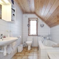 kombinētais vannas istabas dizains