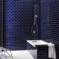 elegantiškas vonios kambario dizainas
