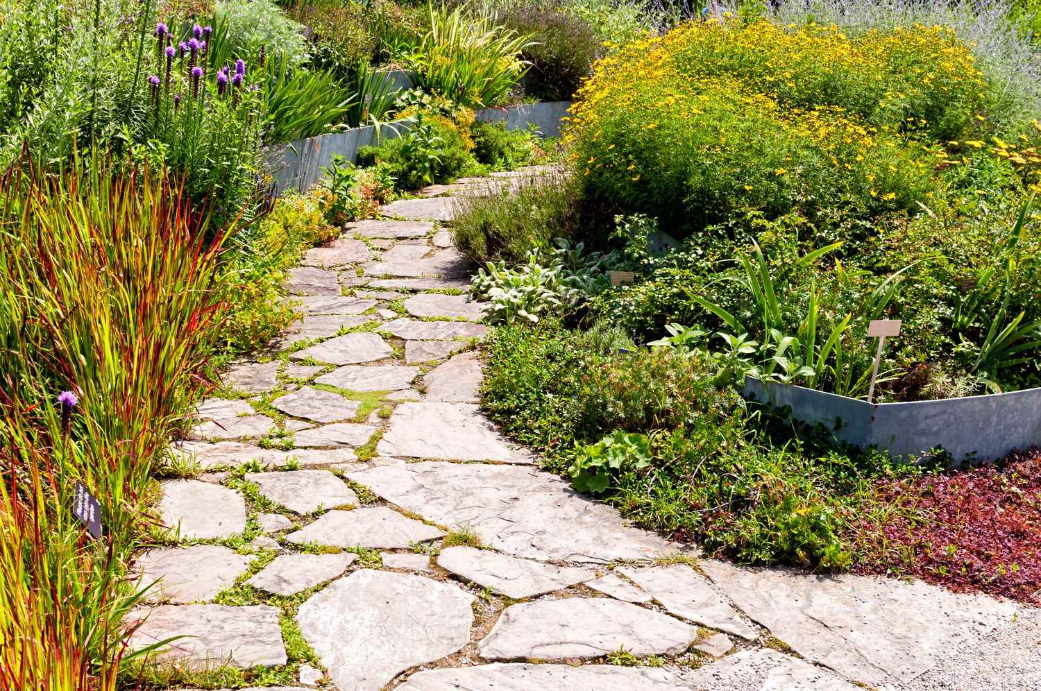 the idea of ​​using bright garden paths in the design of the yard