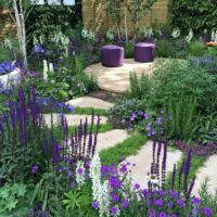 the option of using light garden paths in the design of the yard picture