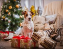Décor d'arbre de Noël pour l'année du chien