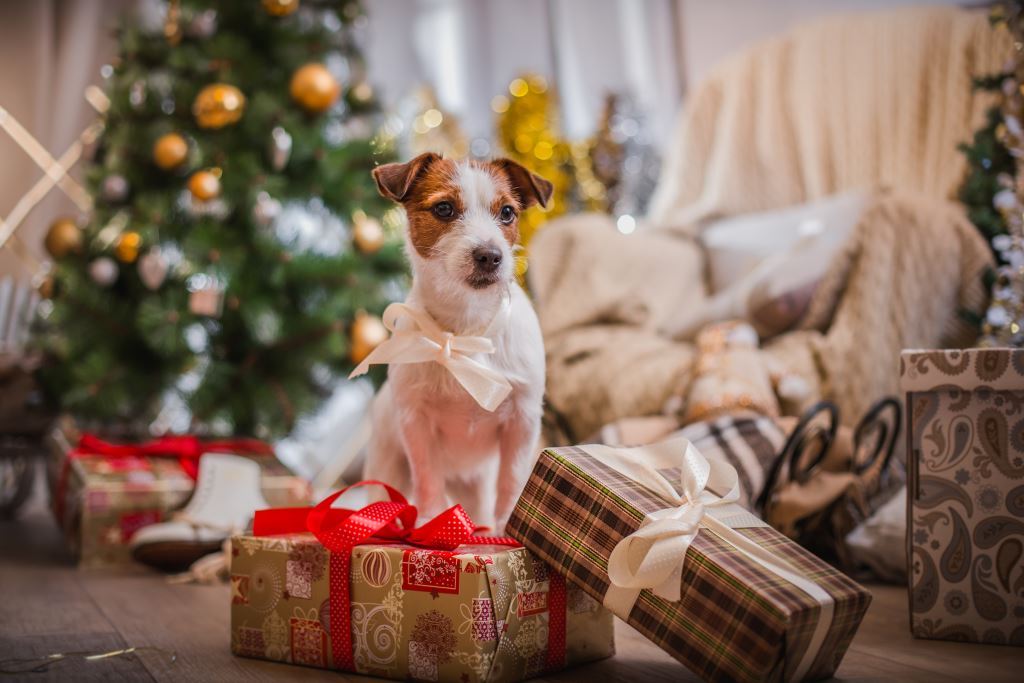 Décor d'arbre de Noël pour l'année du chien