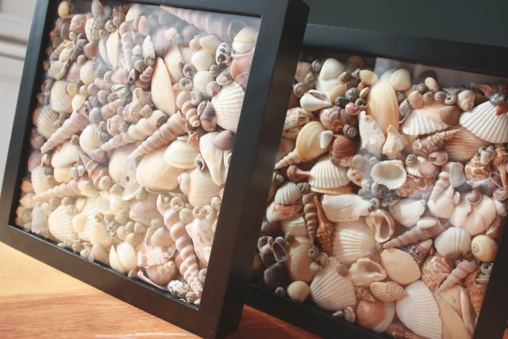 seashell decor ideas