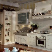idea of ​​a beautiful rustic kitchen interior photo