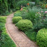 the idea of ​​using beautiful garden paths in the design of the courtyard photo