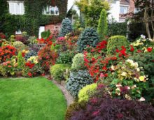 version of the unusual design of the front garden in the country photo