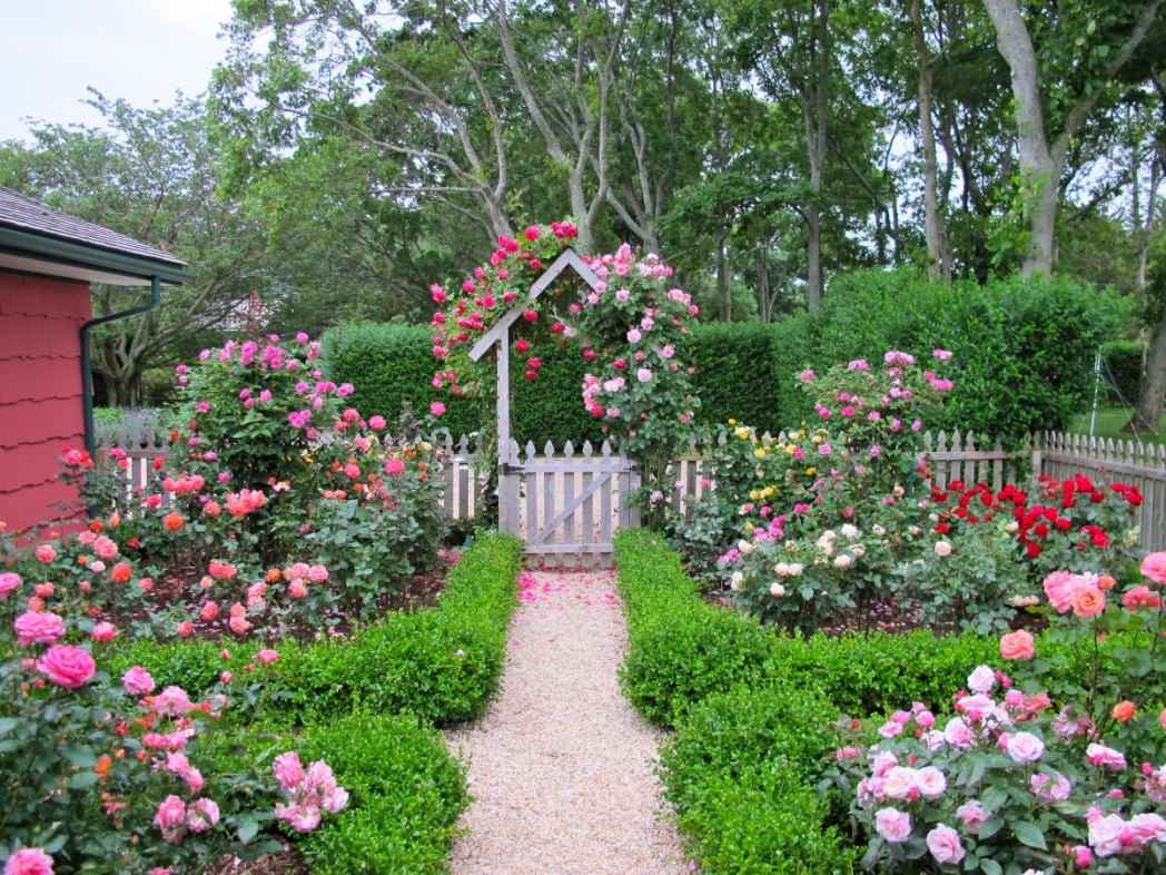 exemple d'une belle conception de jardin avant dans une cour privée