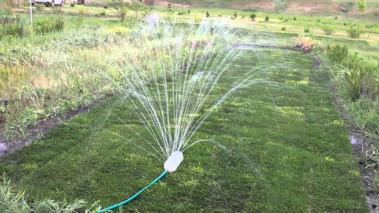irrigazione dei letti in campagna