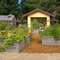 jardin avec des lits idées de chalets d'été photo