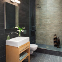 vonios kambarys 4 kv.m. idėjos dizainas