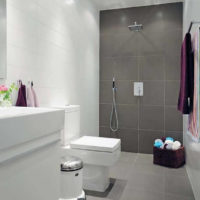 vonios kambarys 4 kv. m dizainas