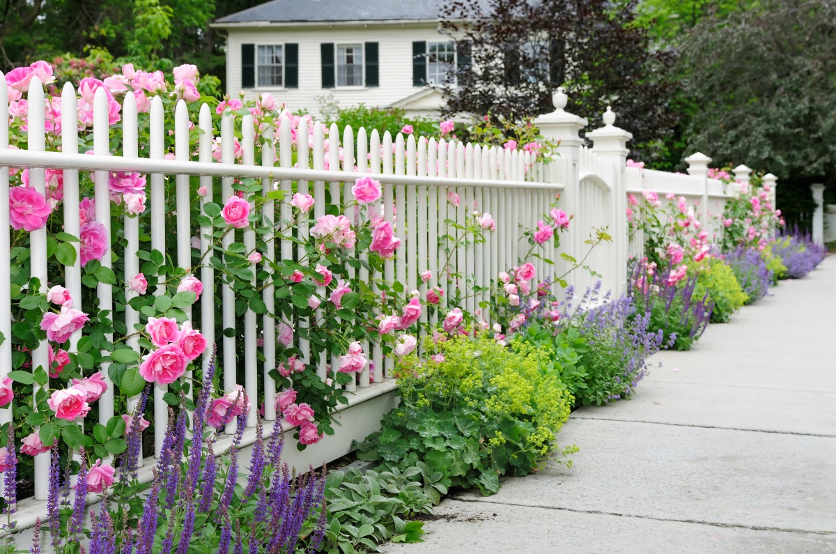 clôture de fleurs