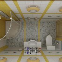 De indeling van de gecombineerde badkamer - bovenaanzicht