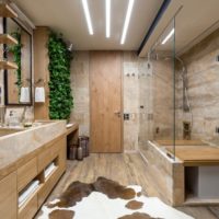 A magánház kombinált fürdőszobájának gazdag belső tere