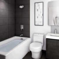 Juodos ir baltos spalvos tonai kombinuoto vonios kambario interjere