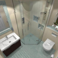 Kombinētā vannas istaba ar stikla dušu