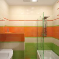 Wanden in het ontwerp van de gecombineerde badkamer