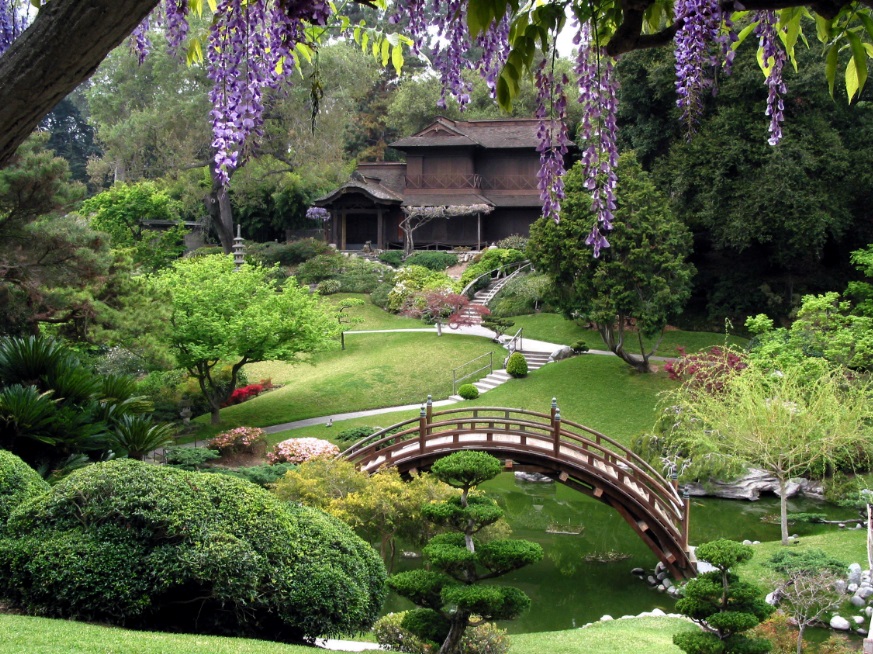 Style japonais dans le jardin paysager