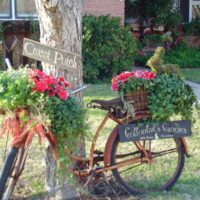 Vecchia bicicletta come composizione nel giardino