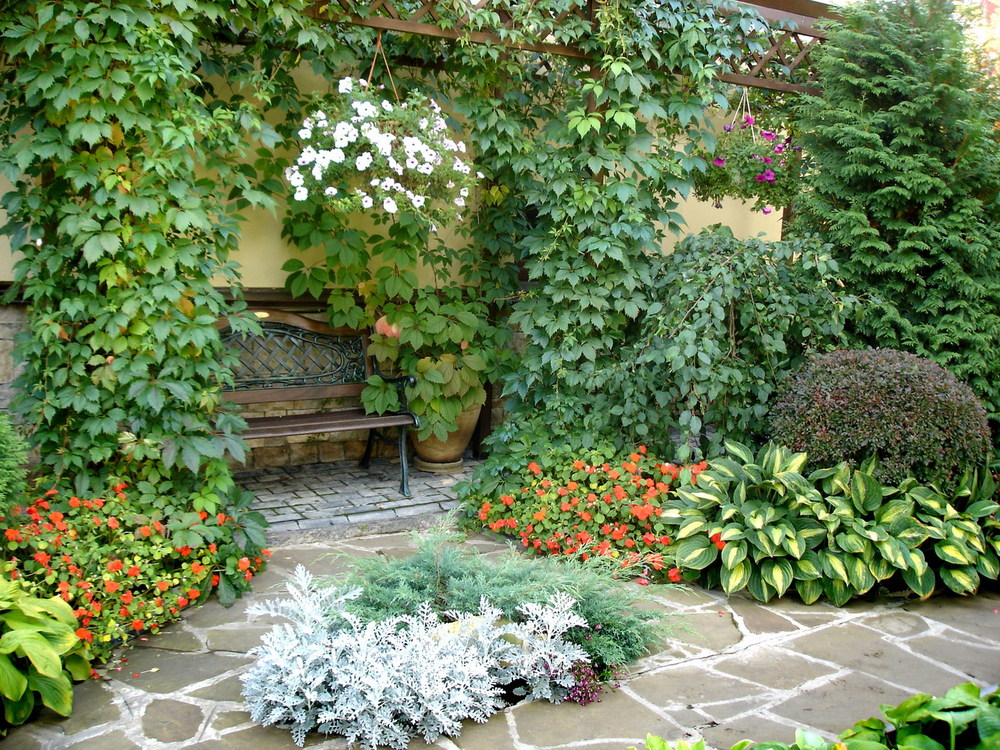 Un lieu de repos dans le jardin parmi l'abondance de plantes