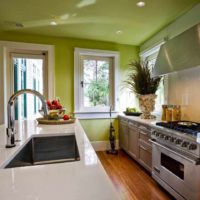 Ryškaus lubų dizaino pavyzdys virtuvės nuotraukoje