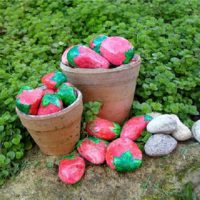 Krāsaini akmeņi dārza dekorēšanai