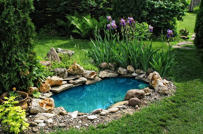 Декоративно езерце в градината