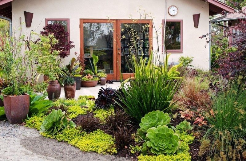 Puķu dobe ar dekoratīviem daudzgadīgiem augiem un ziediem lauku mājas priekšā