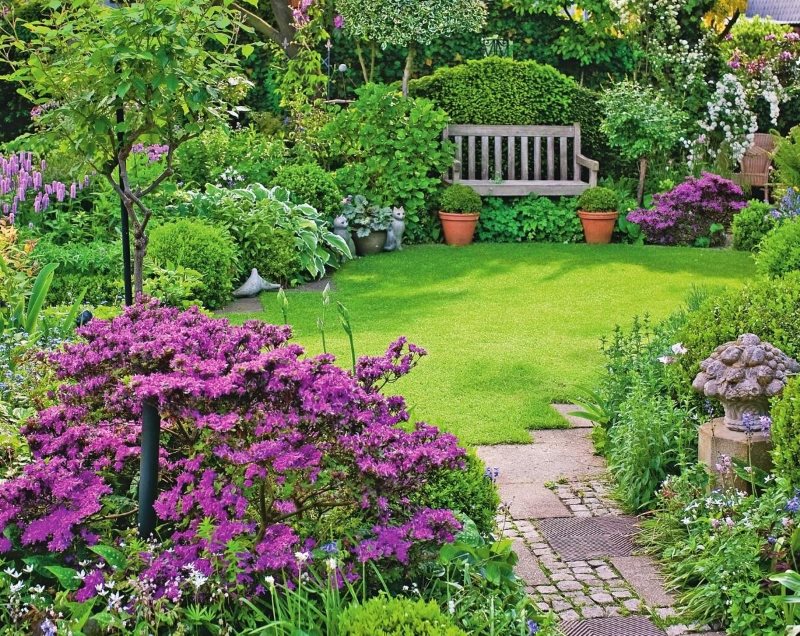 Un piccolo prato di un giardino di campagna con cespugli viola
