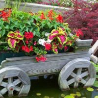 Aiuola-carrello con fiori nella decorazione di uno stagno da giardino