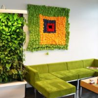 Mur vivant de plantes vertes dans le salon