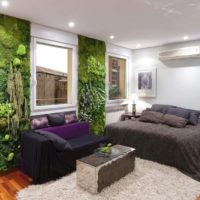Plantes vivantes sur le mur d'un appartement ordinaire