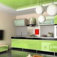 Façades brillantes d'armoires de cuisine couleur olive