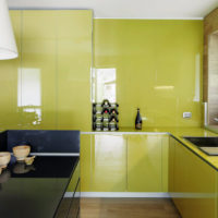 Lucida con tinta verde oliva sulle facciate della cucina