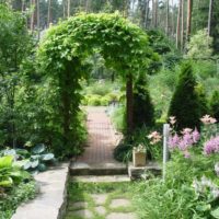 Ascension d'une arche dans un jardin privé