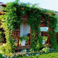 Porche d'une maison privée avec des plantes grimpantes